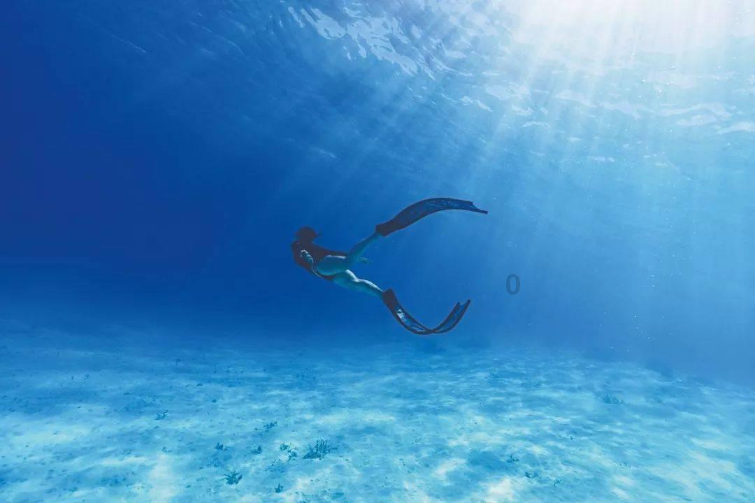 创作猫