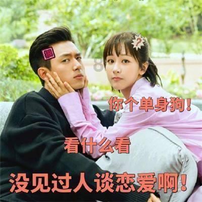 小猫钓鱼正版下载中文版