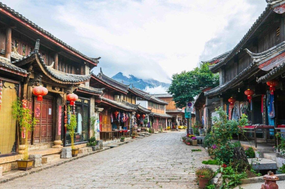 动物帮帮忙保卫家园